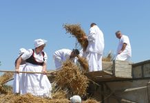 Više od tisuću posjetitelja uživalo na 21. Ploščićkom mašinanju: Stara Ploščica još jednom oživjela nekadašnje običaje i pokazala kako se nekad dolazilo do kruha