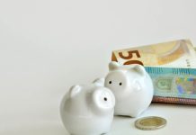 Dodatni izvor prihoda: koje su mogućnosti za zaradu uz redovan posao?