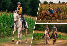 Odličan vikend za KK Čazma: Maja Faltak do pobjede, Hana Novosel izborila novu kvalifikaciju
