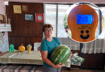 Suša joj nije smetala: Đurđica iz Daskatice uzgojila lubenicu tešku gotovo 22 kilograma