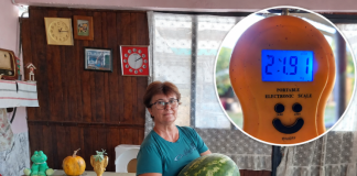 Suša joj nije smetala: Đurđica iz Daskatice uzgojila lubenicu tešku gotovo 22 kilograma