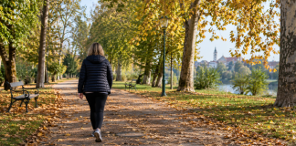 Svakodnevna šetnja može biti dobar početak: Koliko je važno trajanje, a koliko redovitost?