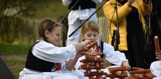 Velikogrđevačka komušana, zlatna tradicija koja okuplja generacije