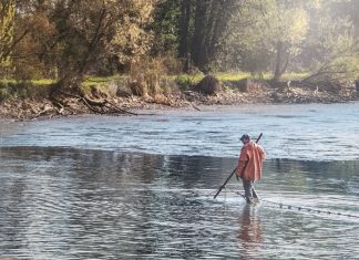 Ribnjačarstvo Končanica na udaru suše