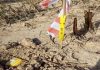 Na području Velikog Trojstva provode se seizmička istraživanja nafte i plina