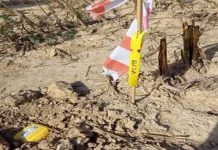 Na području Velikog Trojstva provode se seizmička istraživanja nafte i plina