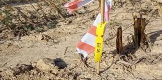 Na području Velikog Trojstva provode se seizmička istraživanja nafte i plina
