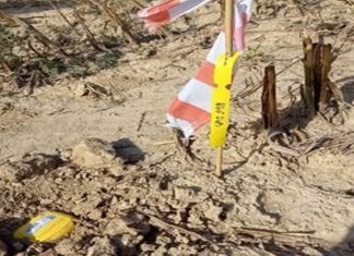 Na području Velikog Trojstva provode se seizmička istraživanja nafte i plina
