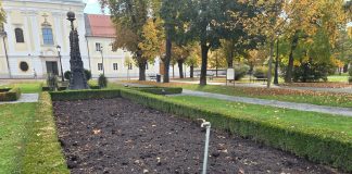 Bjelovarski park dobiva sustav navodnjavanja, radovi kreću nakon Adventa