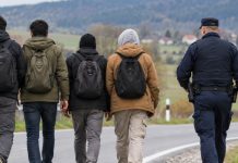 Policija potvrdila: Ukrajinac zaustavljen u Grabovnici – u teretnom prostoru prevozio strane državljane
