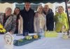 Jedanaest novih skladbi na Etno festivalu u Velikom Trojstvu, počela prodaja ulaznica