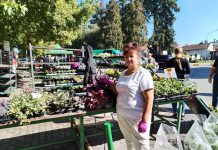 Adela Jareš, vlasnica OPG-a, na svijet umjetnih vrijednosti odgovara afirmacijom prirode